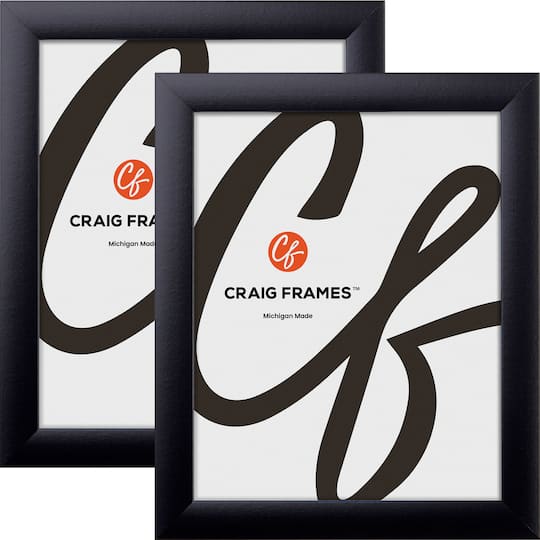2 Pack Craig Frames Contemporary Gallery Black Picture Frame